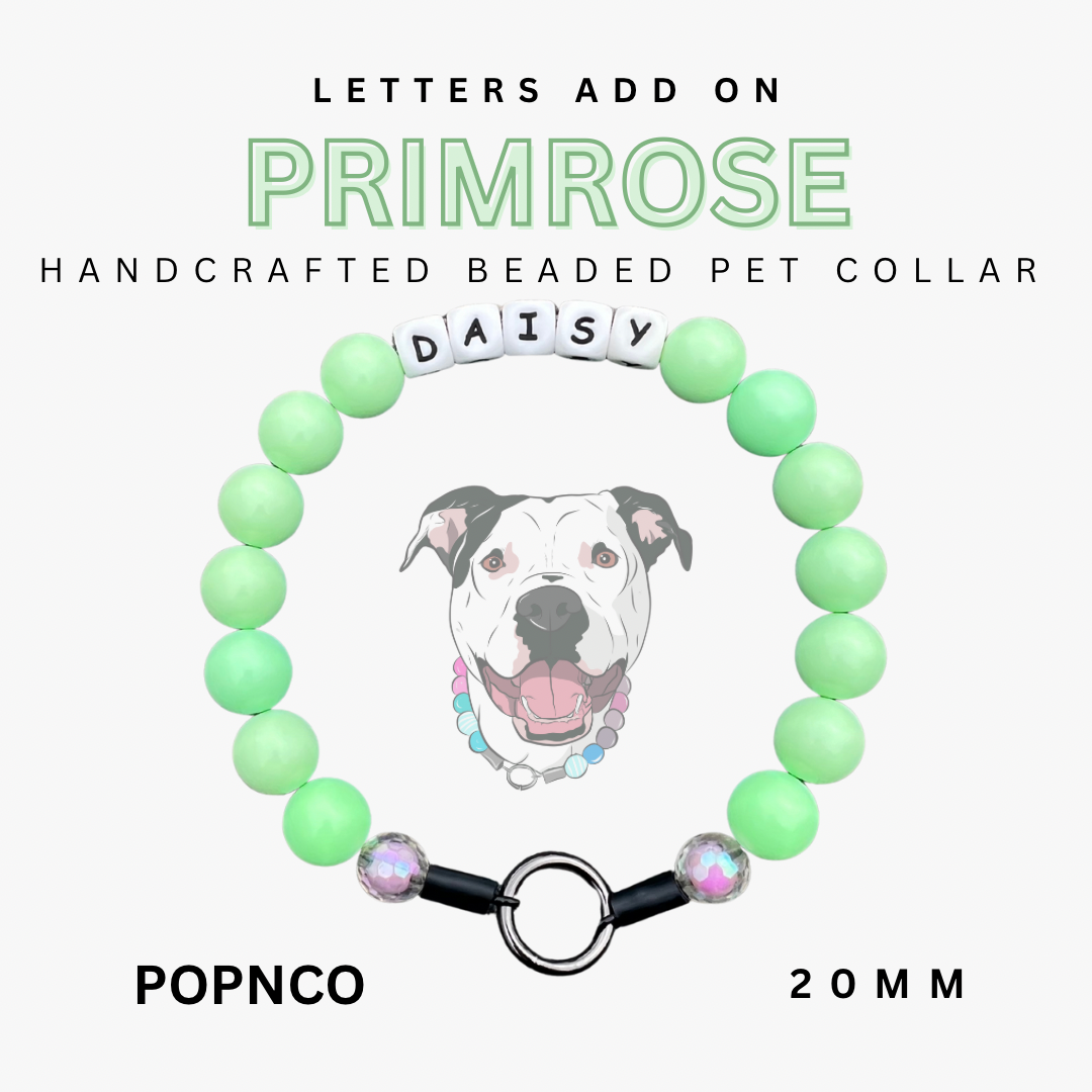 Handcrafted beaded pet collar with a name tag on a white background
