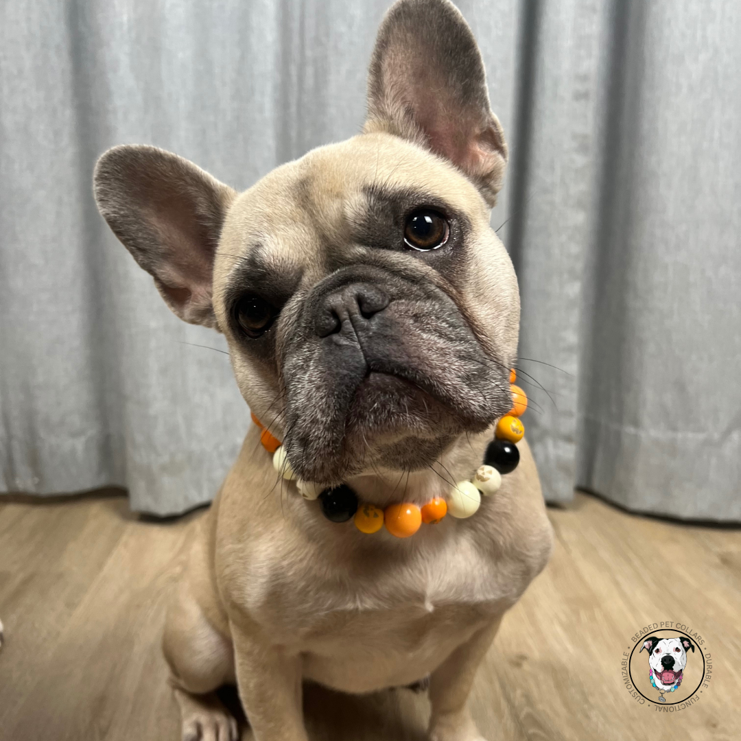 French bulldog - Halloween Theme Collection Slip on Beaded Pet Collar - Trick or Treat - Made with white black and orange acrylic and wooden pumpkin beads - aircraft stainless steel and a o ring. Durable - handmade - customizable