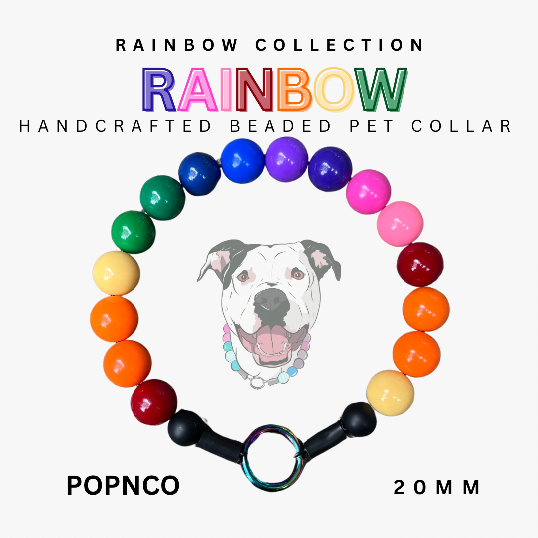 Rainbow-colored beaded pet collar with a dog illustration and branding on a white background