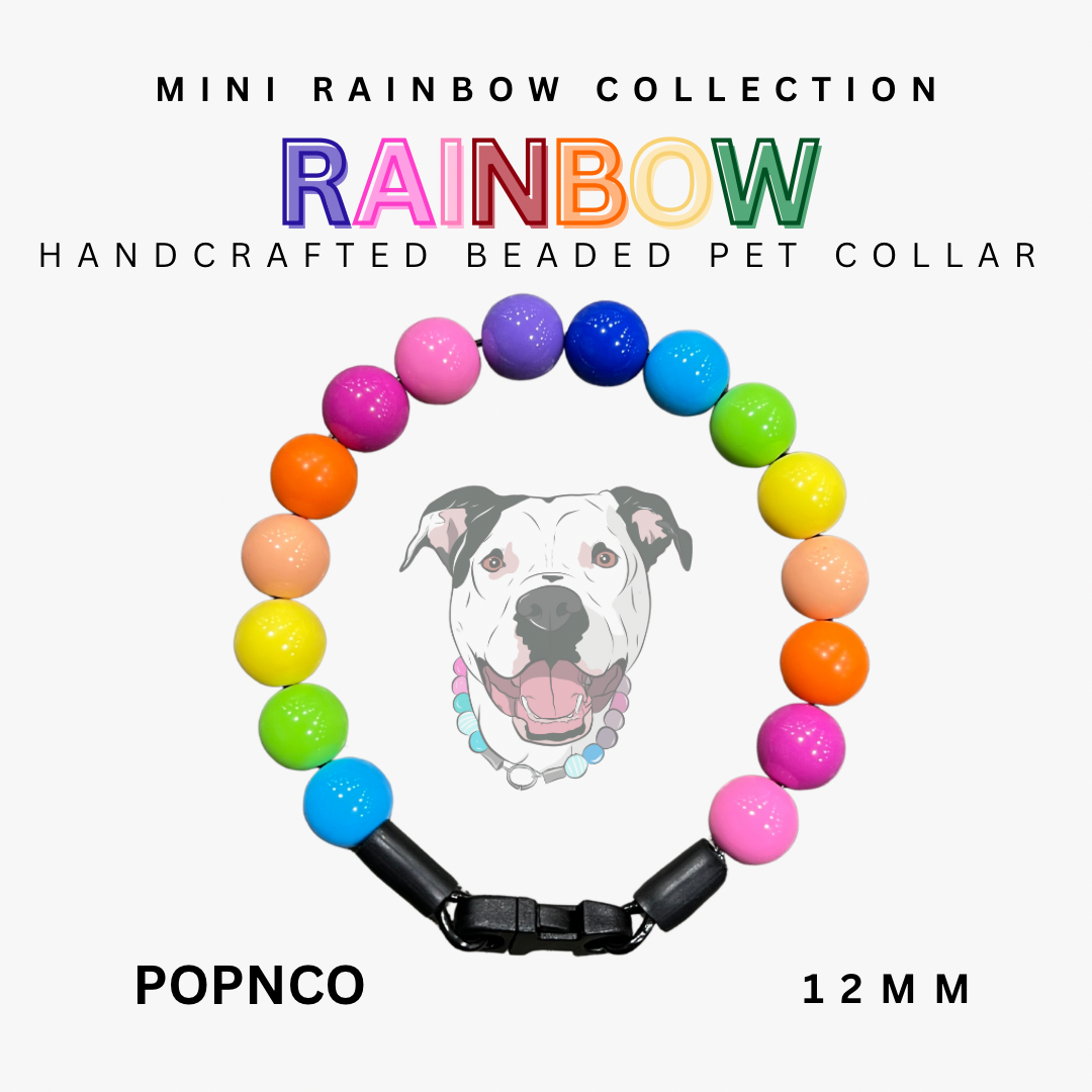 Colorful beaded pet collar with a dog illustration on a white background, labeled 'Mini Rainbow Collection'.