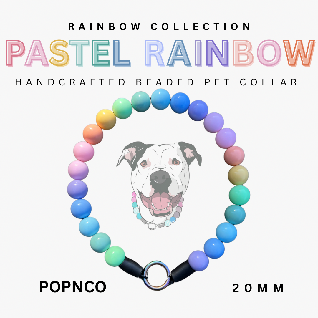 Pastel rainbow beaded pet collar with a dog illustration on a white background