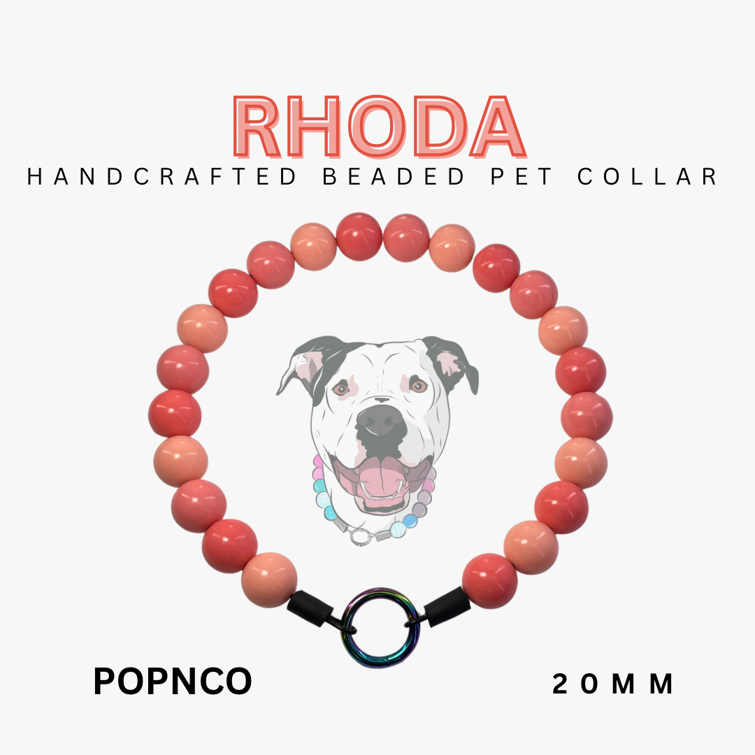 Handcrafted beaded pet collar with 'RHODA' branding and a dog illustration on a white background.