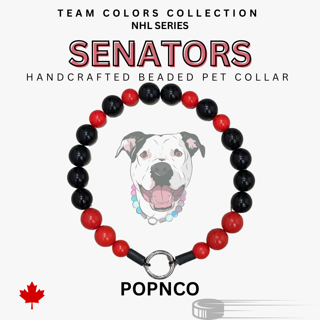 A beaded pet collar with red and black acrylic beads, featuring a dog in the center wearing the collar and the text 'TEAM COLORS COLLECTION SENATORS NHL SERIES' above.