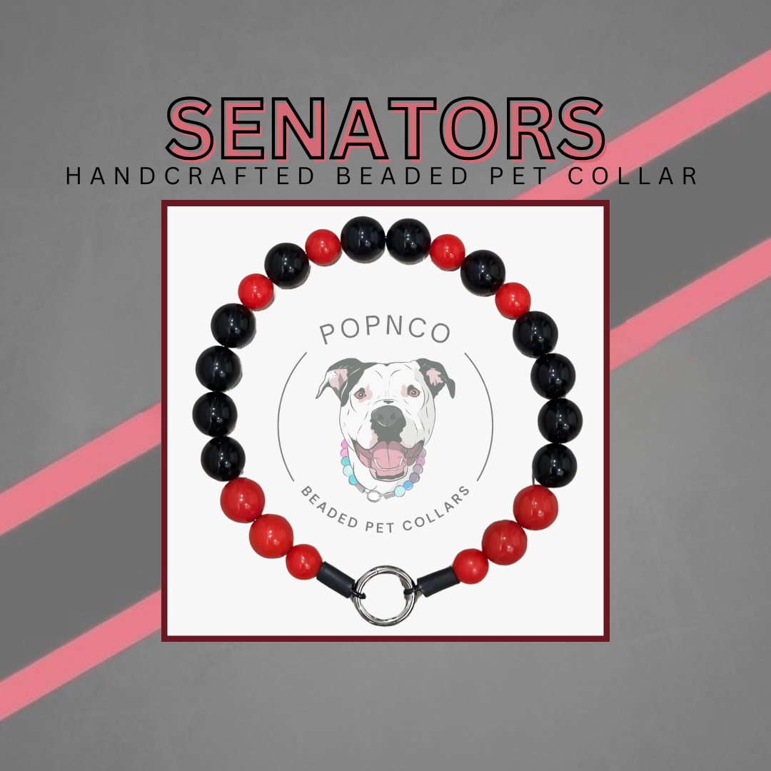 NHL | SENATORS