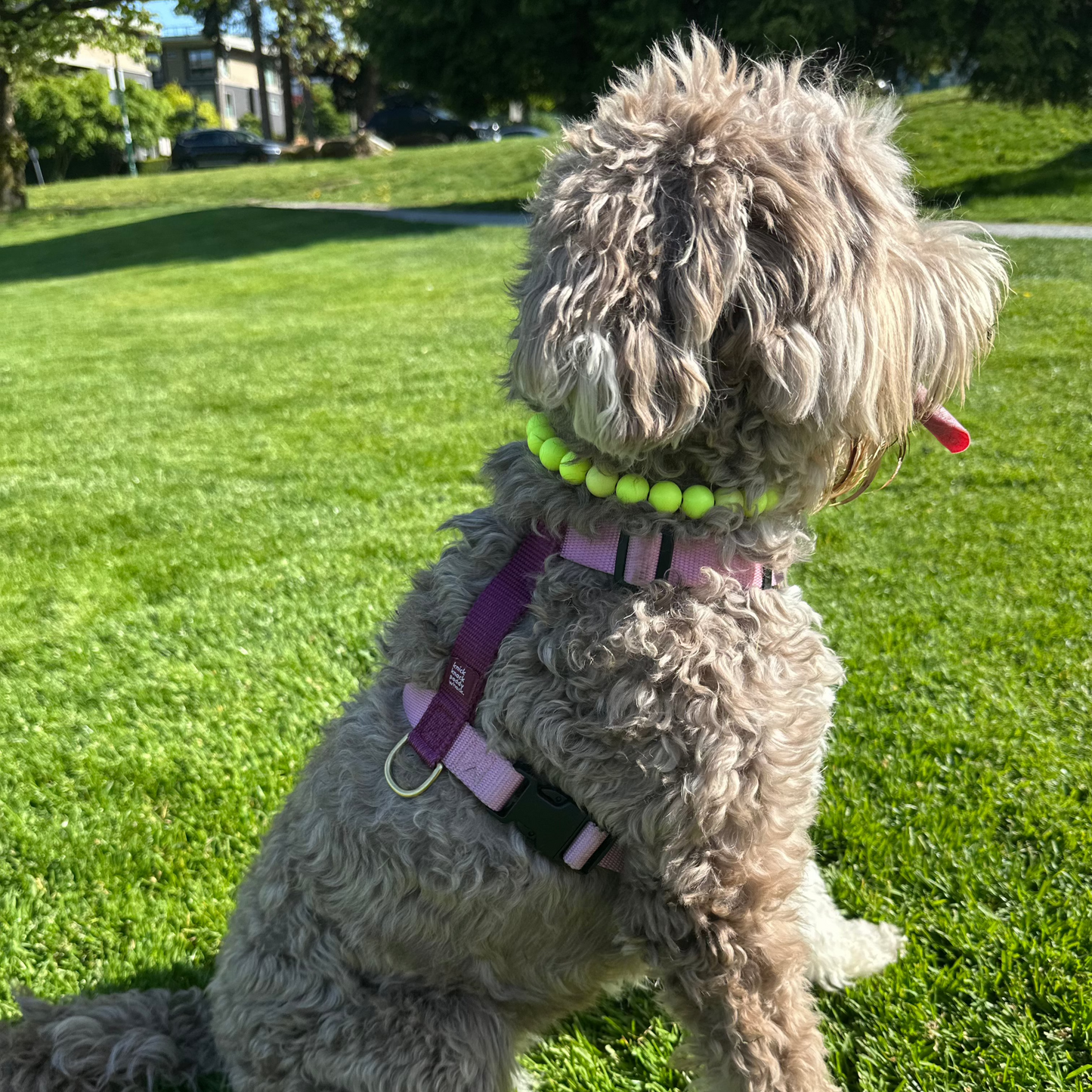 Mini SUNNY