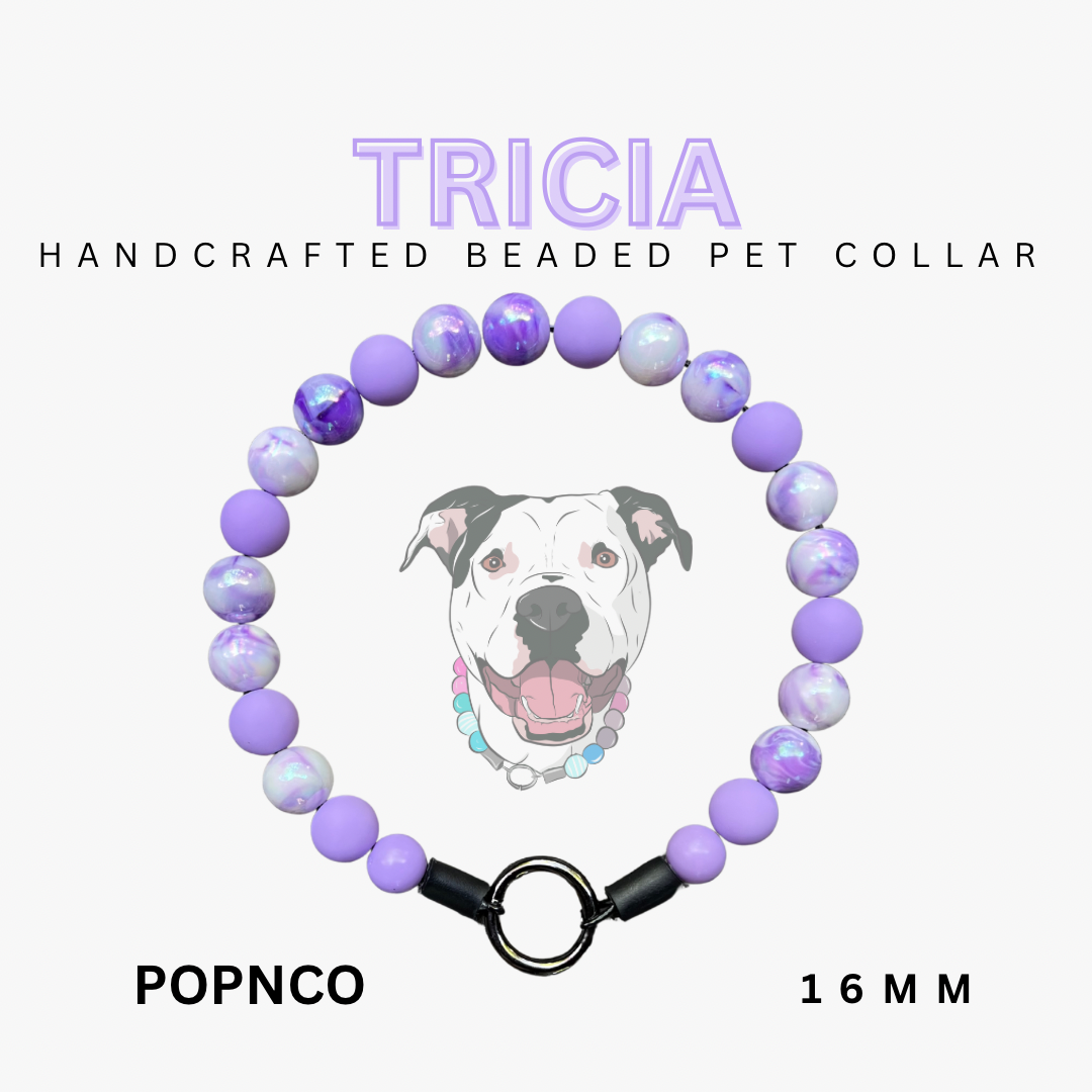 Mini TRICIA