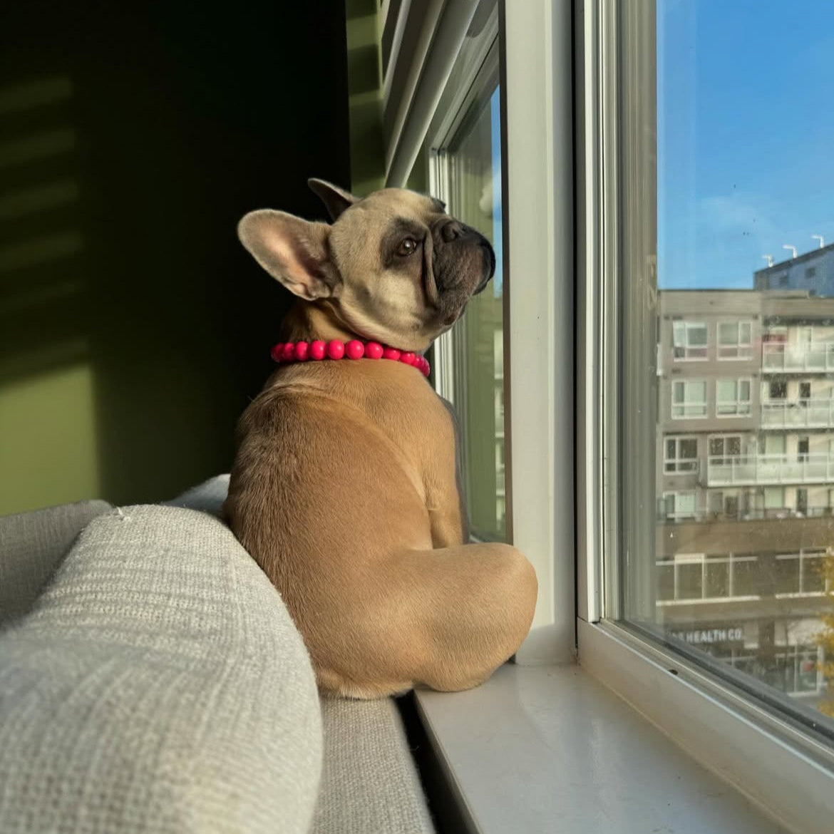 VOGUE