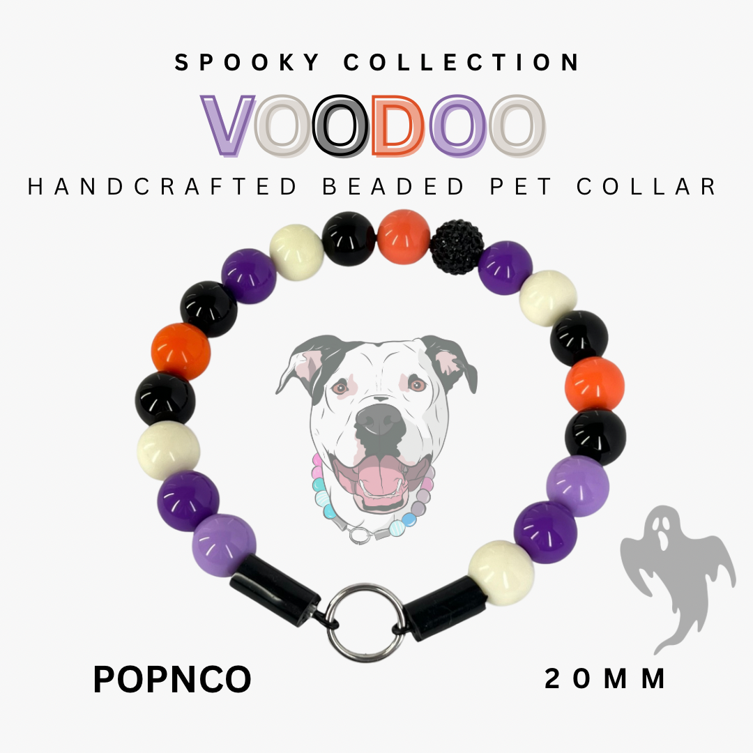 Voodoo handcrafted beaded pet collar with colorful beads and a dog illustration on a white background.