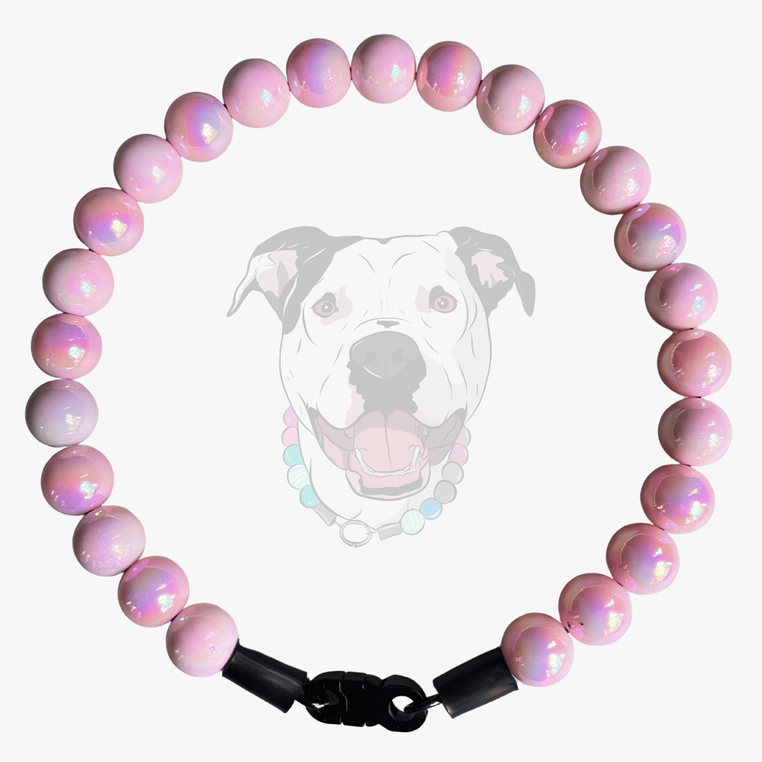 BELLAROSE (16mm)