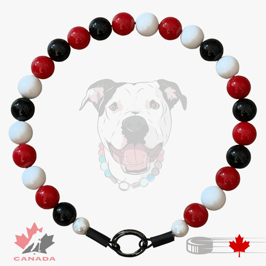 TEAM CANADA