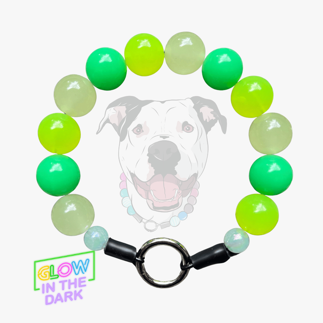 POPNCO beaded pet collar on a white background that says glow in the dark. 