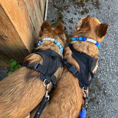 Custom Collar - ELECTRIC SLIDE