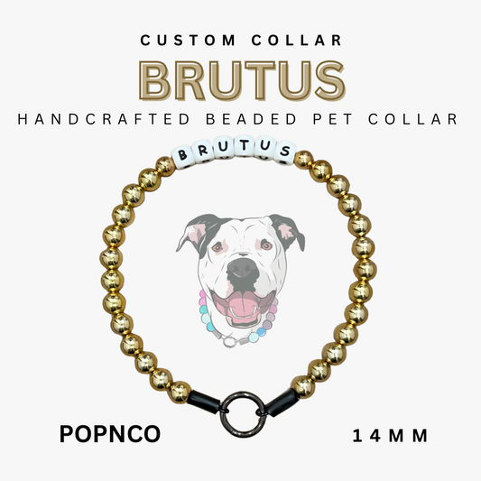Handcrafted beaded pet collar with 'BRUTUS' on a white background