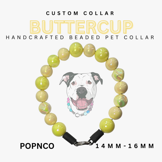 Custom Collar - Mini BUTTERCUP