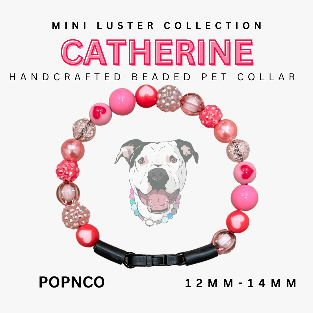 Handcrafted beaded pet collar with pink and red beads, featuring a dog illustration and product details.