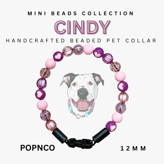 Handcrafted beaded pet collar with 'Cindy' branding on a white background