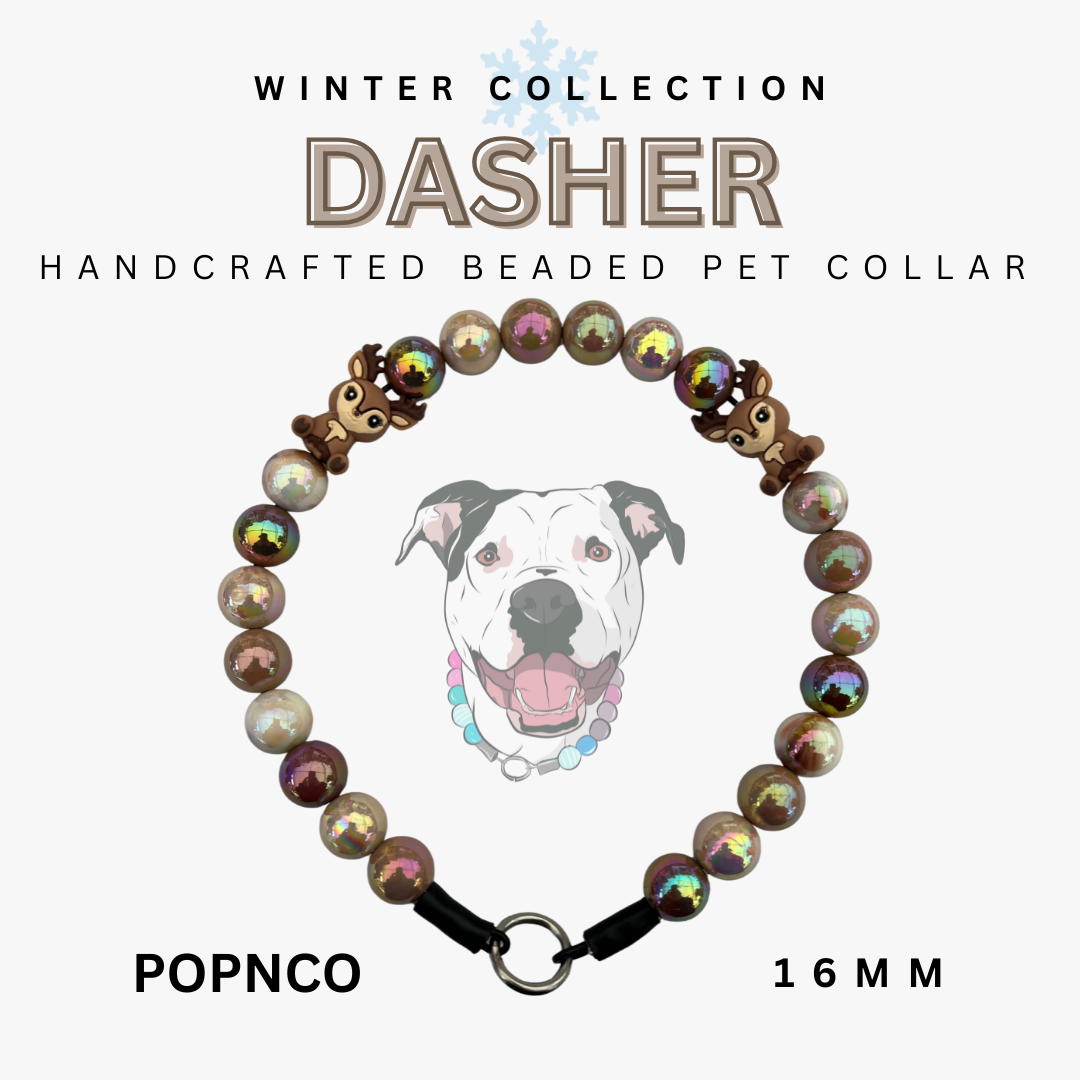 Handcrafted beaded pet collar with a dog illustration on a white background, labeled 'Dasher' and 'Winter Collection'.