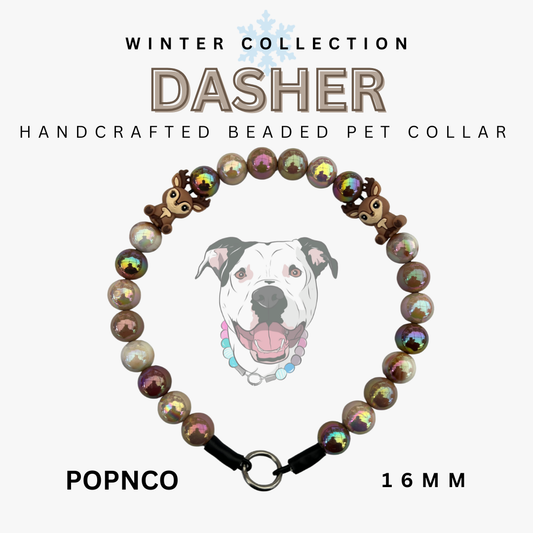 Handcrafted beaded pet collar with a dog illustration on a white background, labeled 'Dasher' and 'Winter Collection'.
