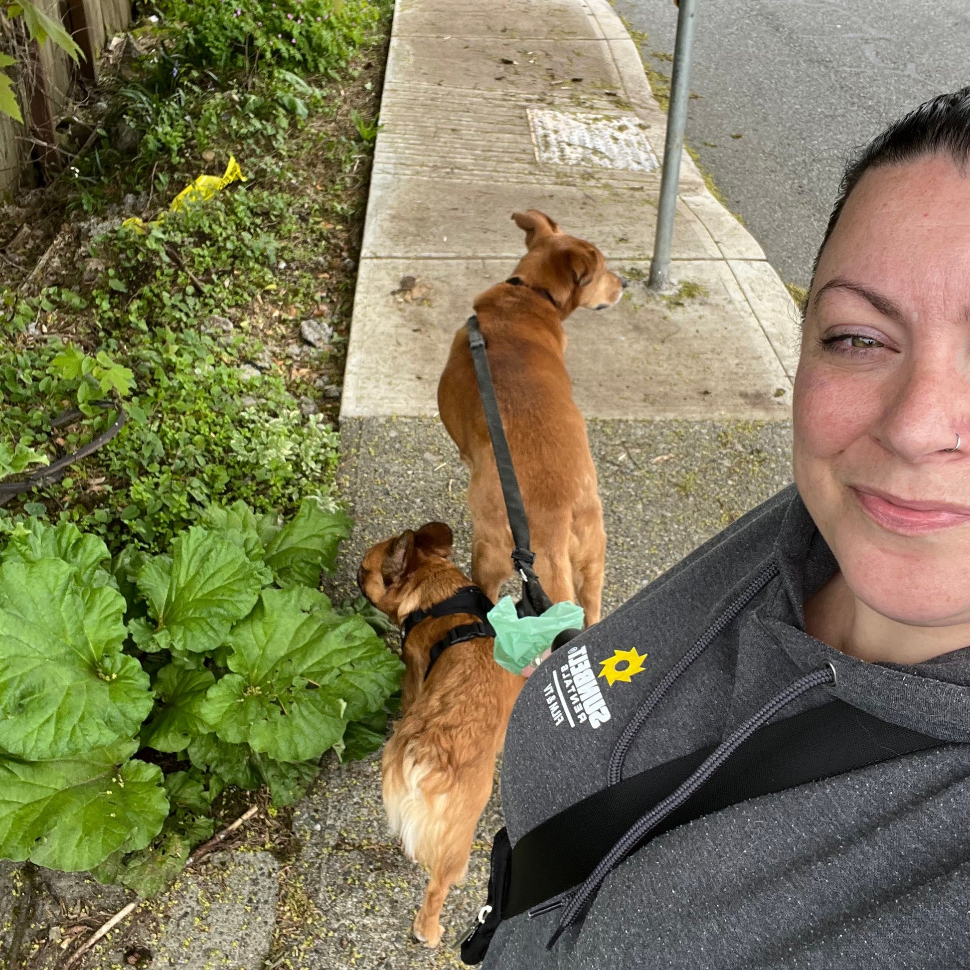 Person taking a selfie with two dogs on a leash on a sidewalk.
