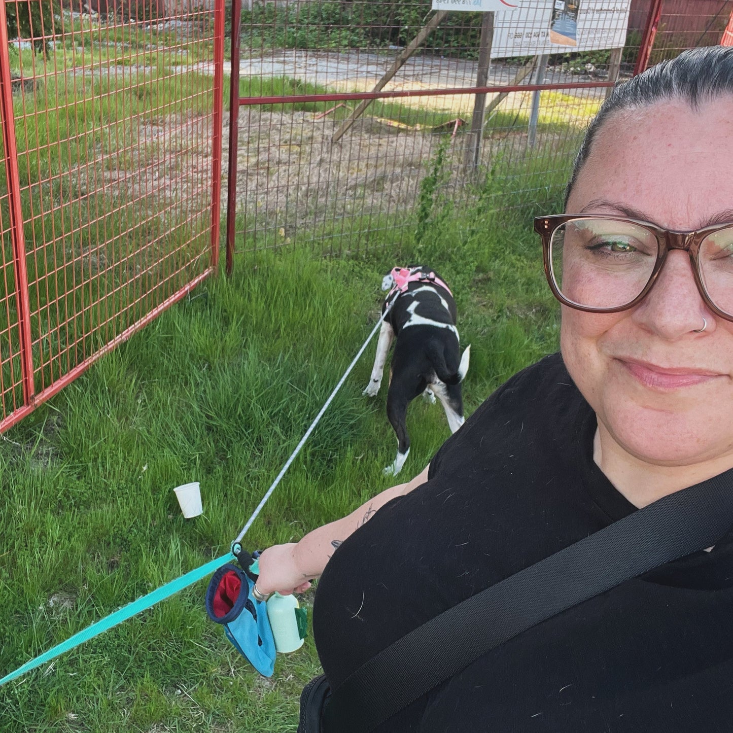 1 Hour On Leash Dog Walk with Lisa