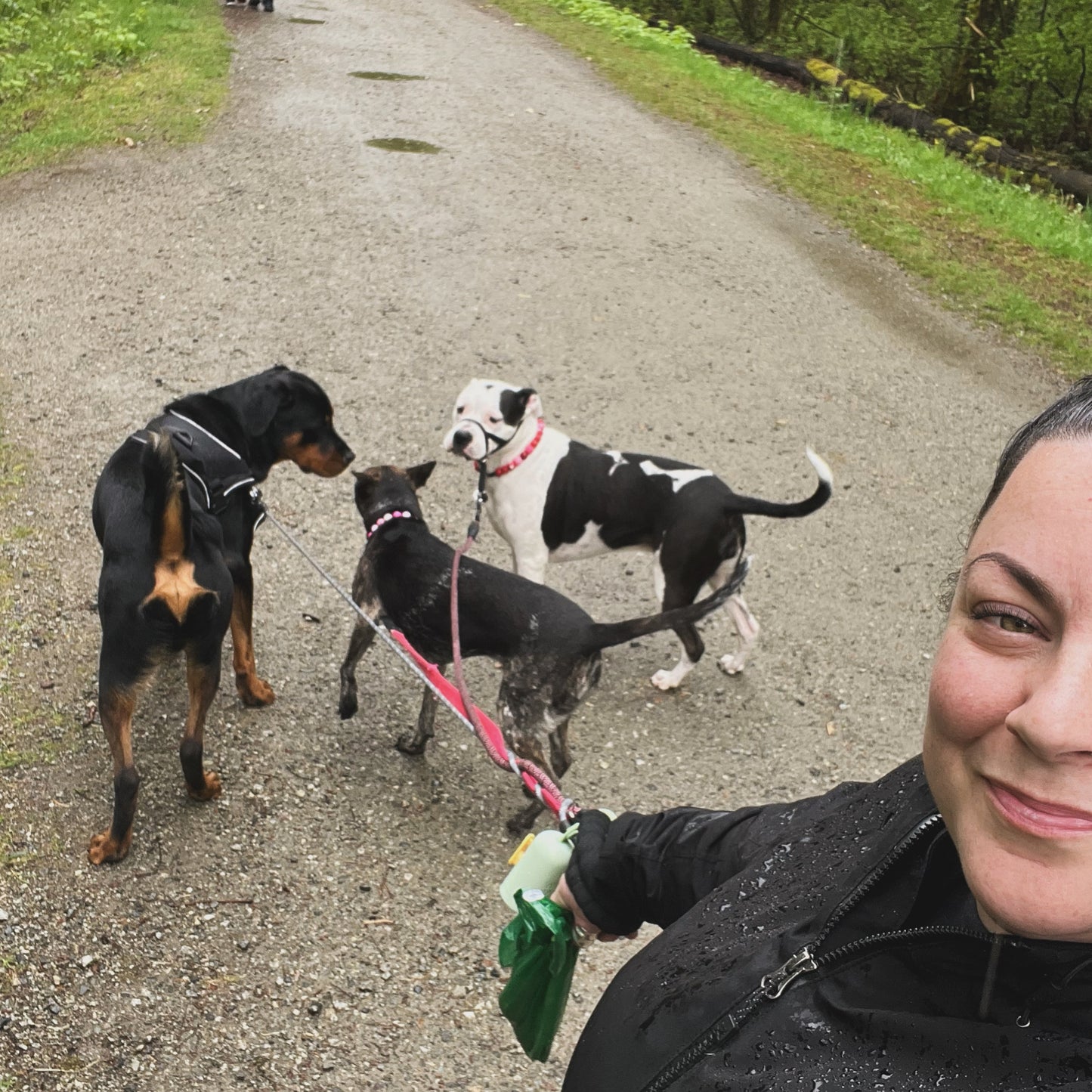 1 Hour On Leash Dog Walk with Lisa