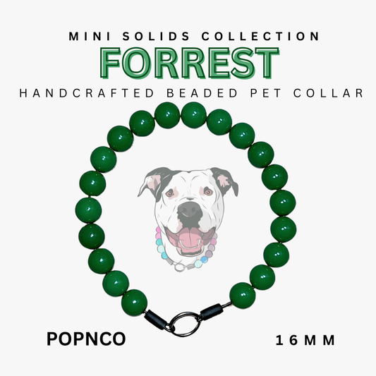 POPNCO Acrylic Beads, beaded collar, Beaded dog collar, Breathable dog collar, cat collar, Comfortable Dog Collar, dog collar, Durable dog collar, Easy to clean dog collar, fashion collar, handmade, Pet accessories, pet collar, popnco, Popnco dog collar, slip on collar, Slip on dog collar, Stylish dog collar