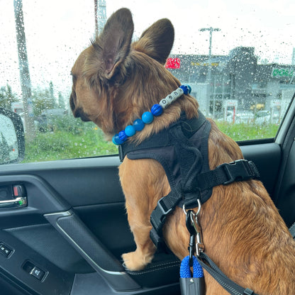 Custom Collar - ELECTRIC SLIDE