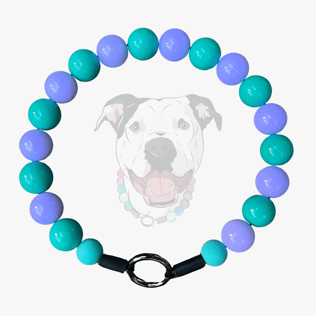 POPNCO Colorful Purple and Teal beaded dog Collar with black O ring on a white background called Emerson 