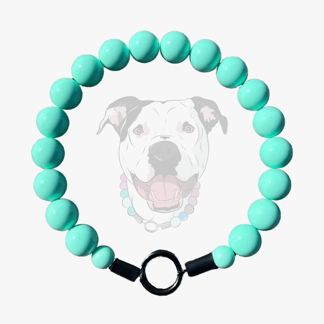 Teal Green Blue beaded pet collar from POPNCO Called Everette laying flat on a white background. 