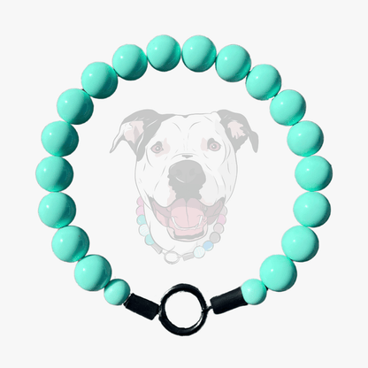 Teal Green Blue beaded pet collar from POPNCO Called Everette laying flat on a white background. 