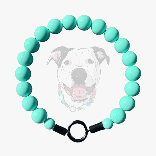Teal Green Blue beaded pet collar from POPNCO Called Everette laying flat on a white background. 