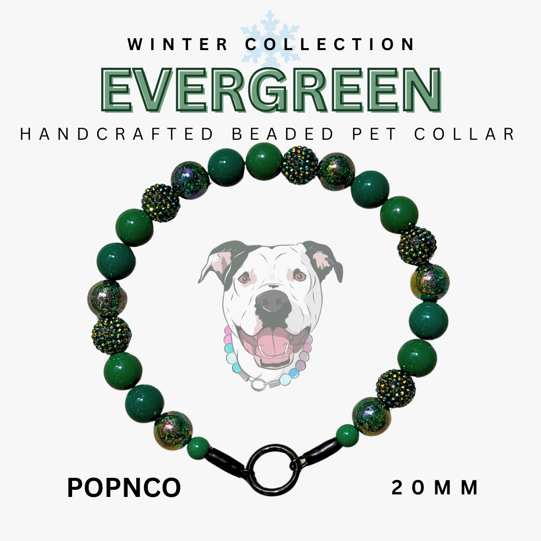 Handcrafted beaded pet collar with green beads and black clasp, featuring a dog illustration and text indicating 'Winter Collection Evergreen' and 'POPNCO'.