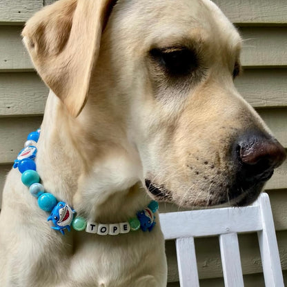 Dog wearing a colorful collar with 'TOPE' on it, sitting outdoors.