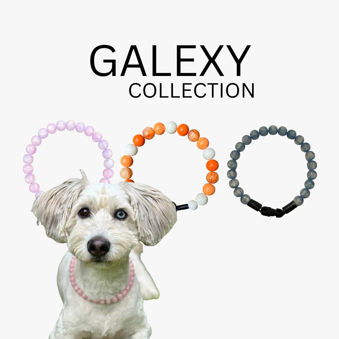 Dog wearing a pink beaded dog collar Giselle from the Galaxy Collection with three additional beaded collars displayed above on a white background, featuring the 'Galexy Collection' from POPNCO Beaded pet Collars. 