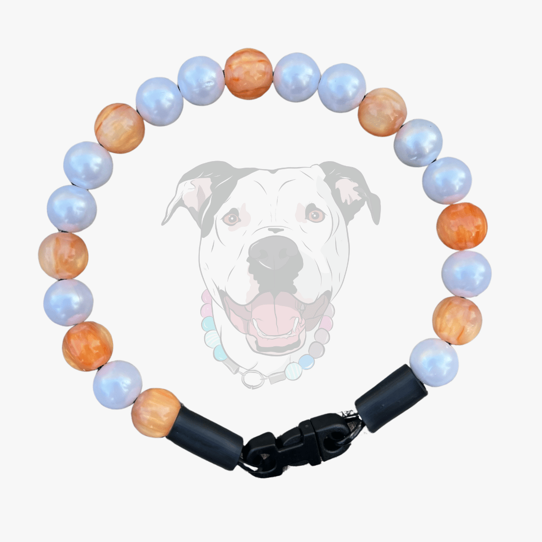 Galaxy Collection Orange and pearl 12mm beaded pet collar on aircraft grade stainless steel wire laying flat on a white background