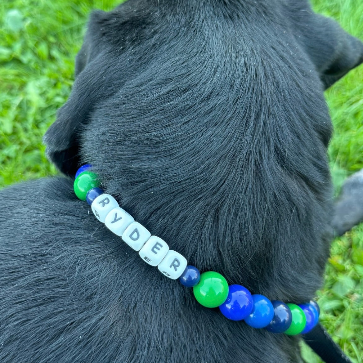 Dog wearing the Grant POPNCO Collar in green and blue a colorful beaded Pet collar with the name Ryder on it on a grassy background