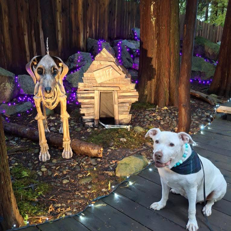 Two dogs, one real and one skeleton-like, standing on a wooden deck with decorative lights and a small doghouse.