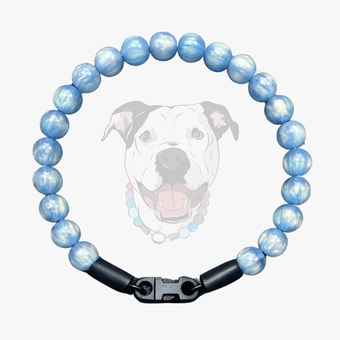 Blue beaded dog collar with a black clasp on a white background