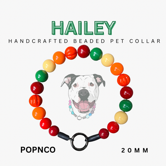 Handcrafted beaded pet collar with colorful beads and a dog illustration on a white background.