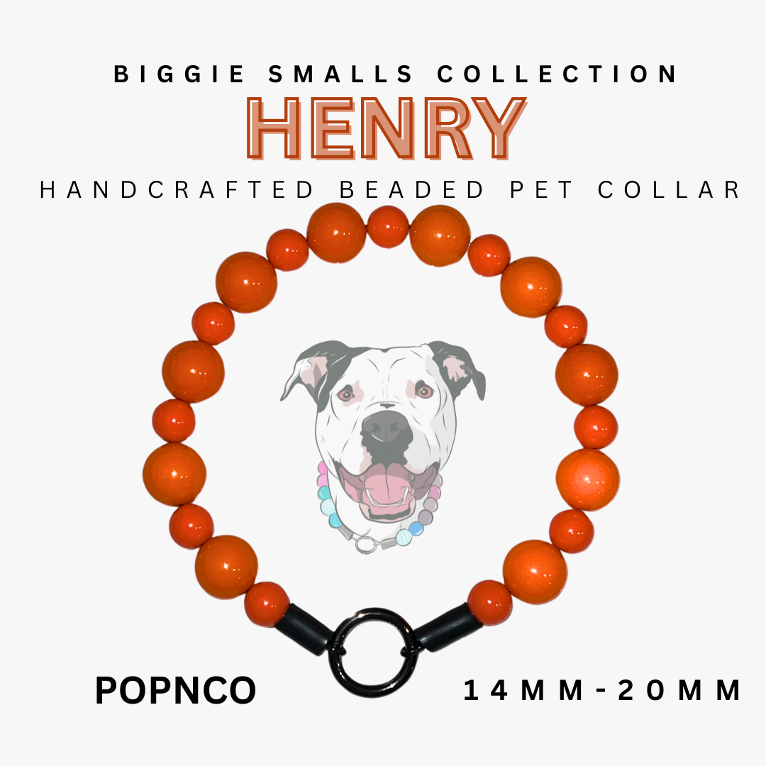 Handcrafted beaded pet collar with orange beads and black clasp, featuring a dog illustration and text about the 'Biggie Smalls Collection' and 'Henry'.