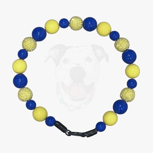 POPNCO beaded pet collar Homer from the Biggie Smalls collection, featuring alternating Yellow and Blue acrylic beads on aircraft grade stainless steel wire. 