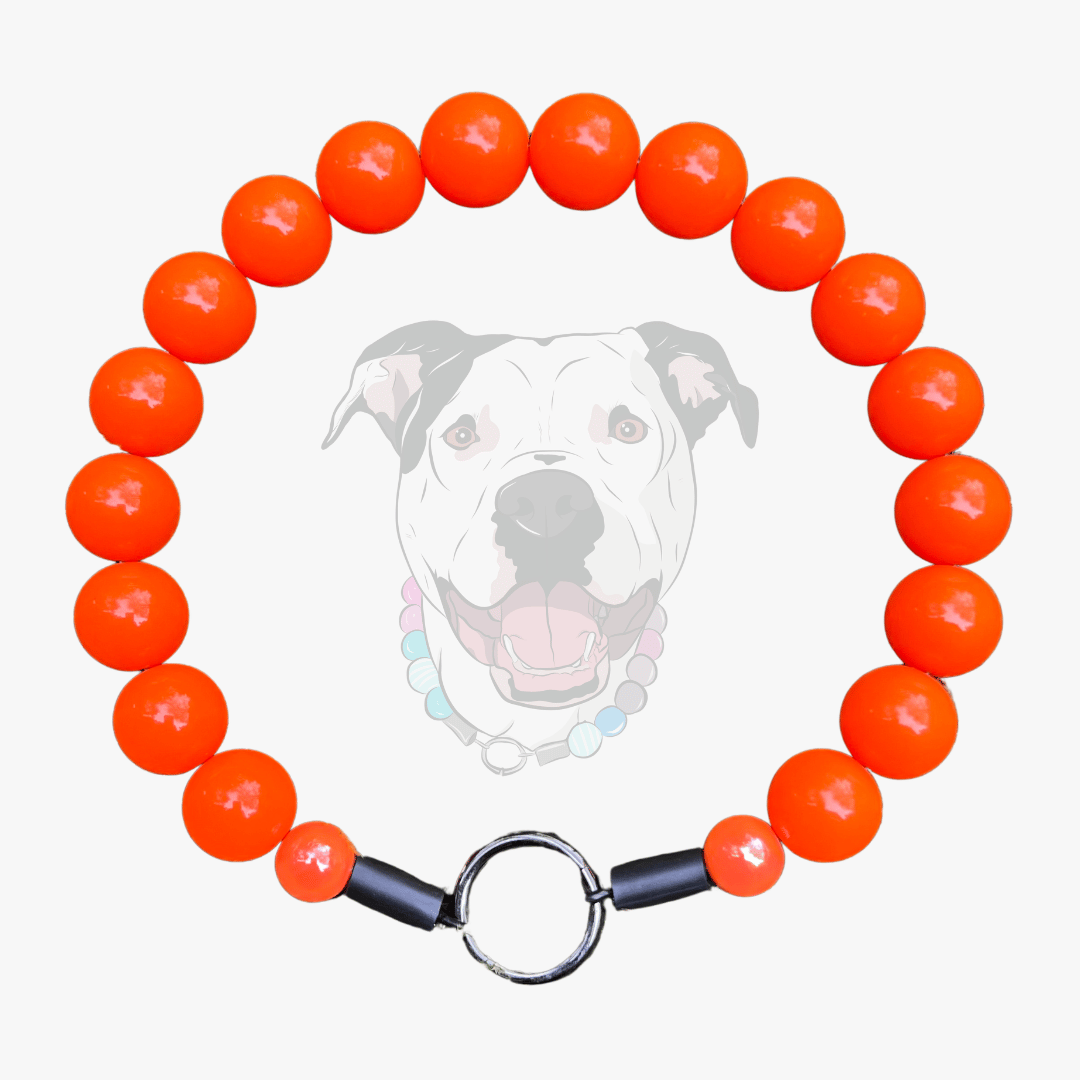 the Hunter solid bright Orange beaded dog collar with a black metal clasp on a white background