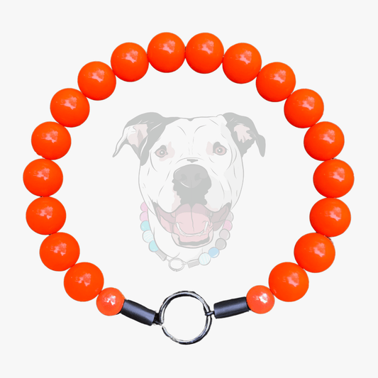 the Hunter solid bright Orange beaded dog collar with a black metal clasp on a white background