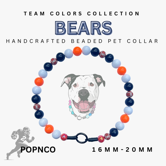 NBA | BEARS