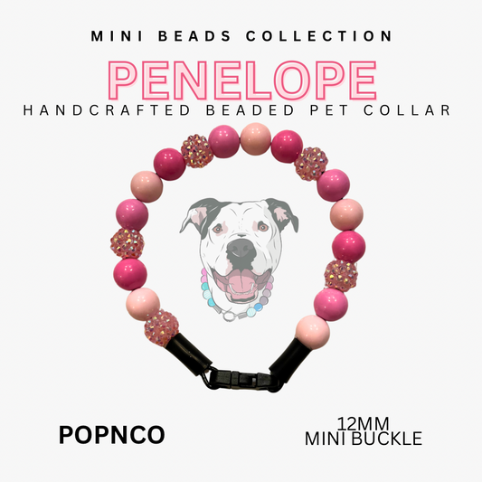 Mini PENELOPE