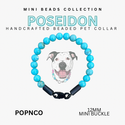Mini POSEIDON