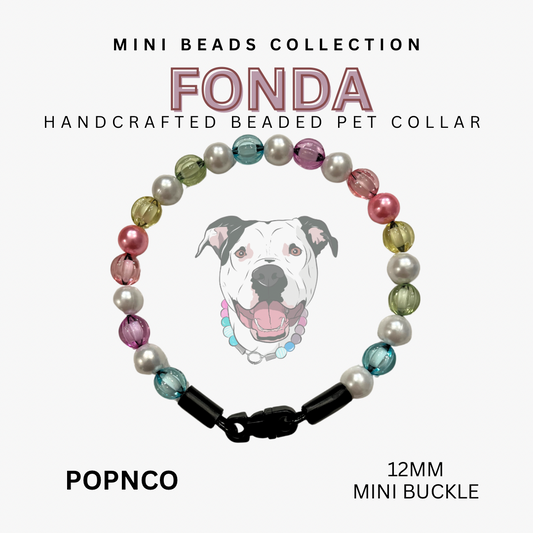 Mini FONDA