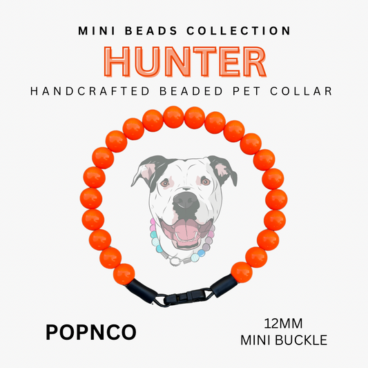 Mini HUNTER