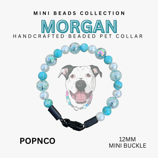Mini MORGAN