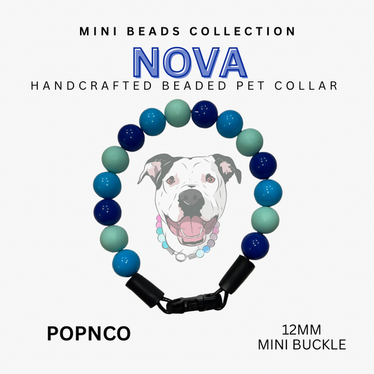 Mini NOVA